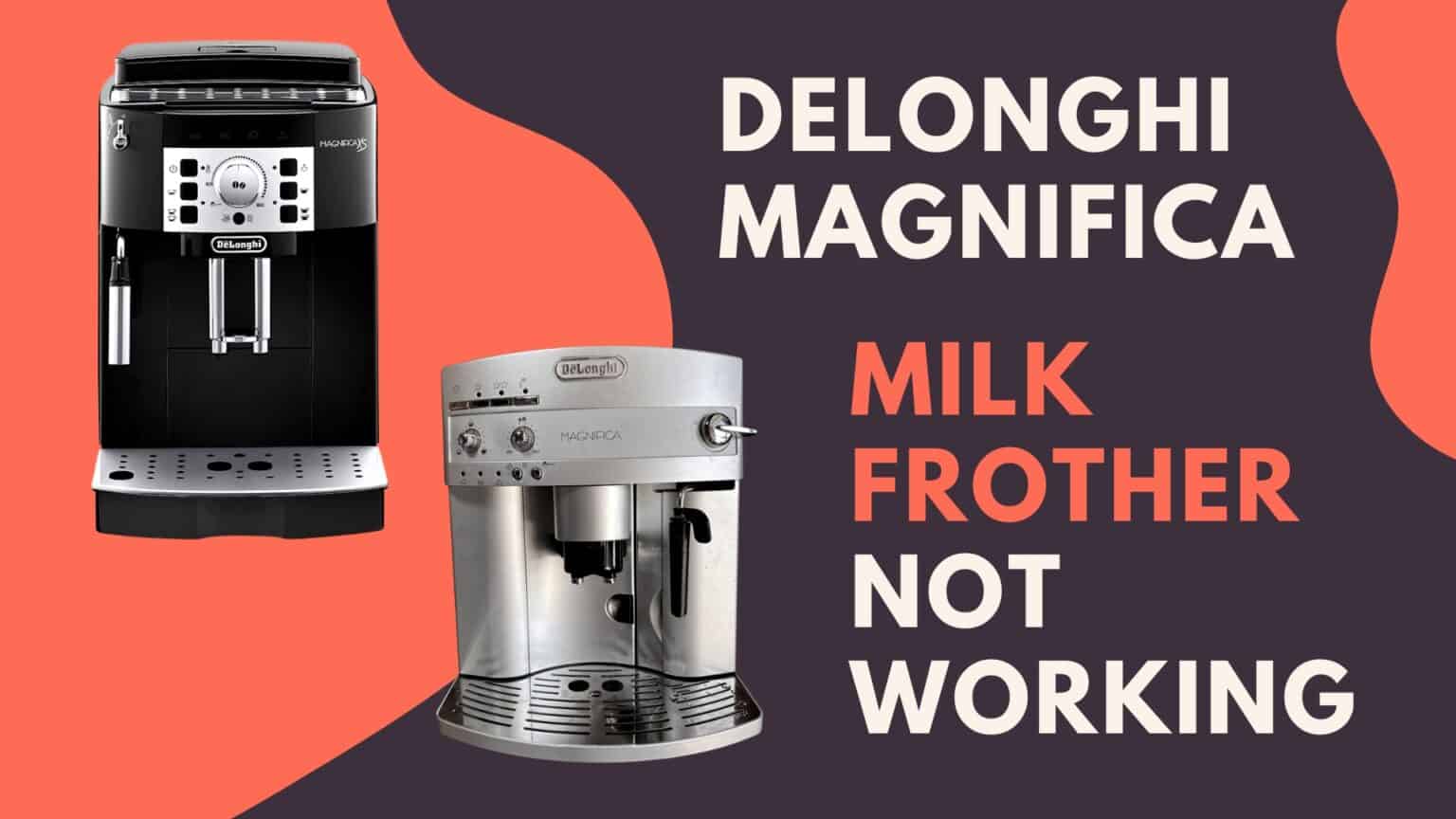 Delonghi Magnifica Not Frothing Milk (Solved!) Jontic