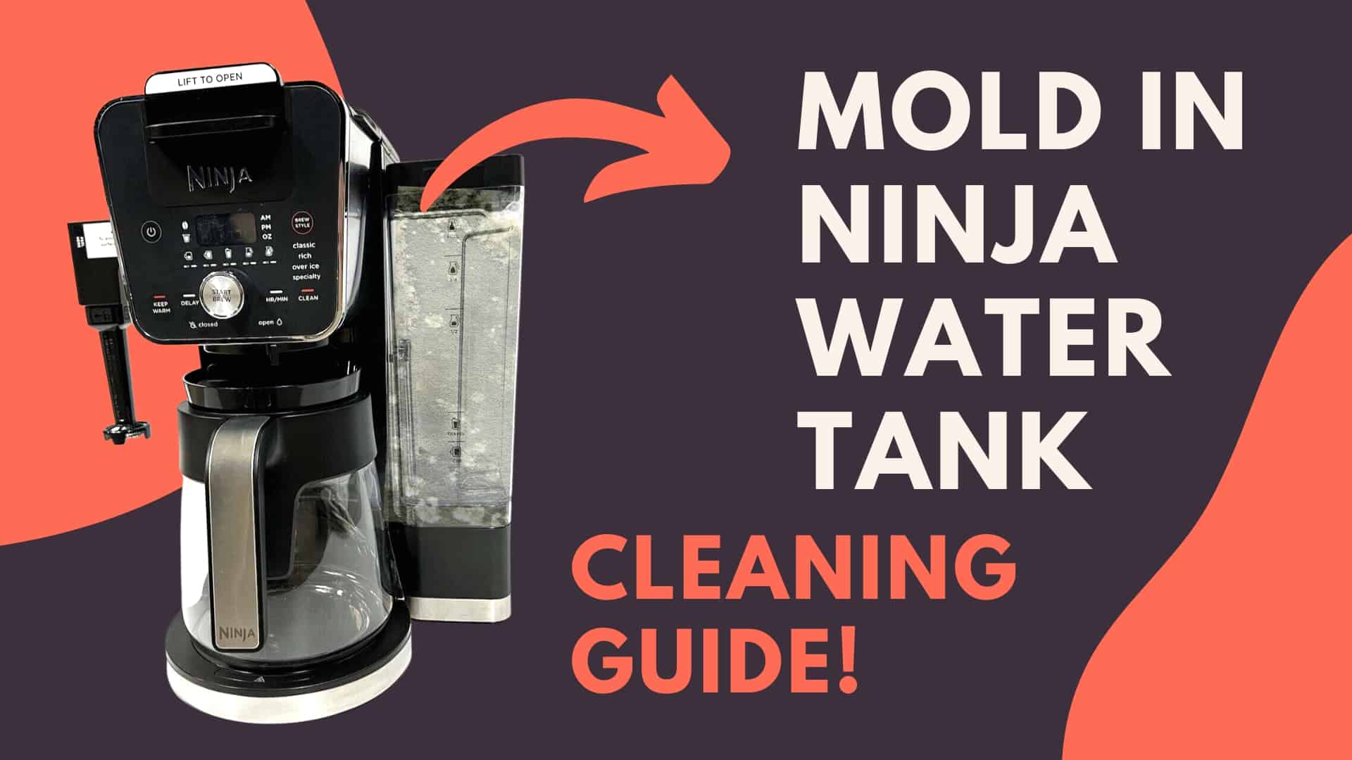 Mold In Ninja Water Tank